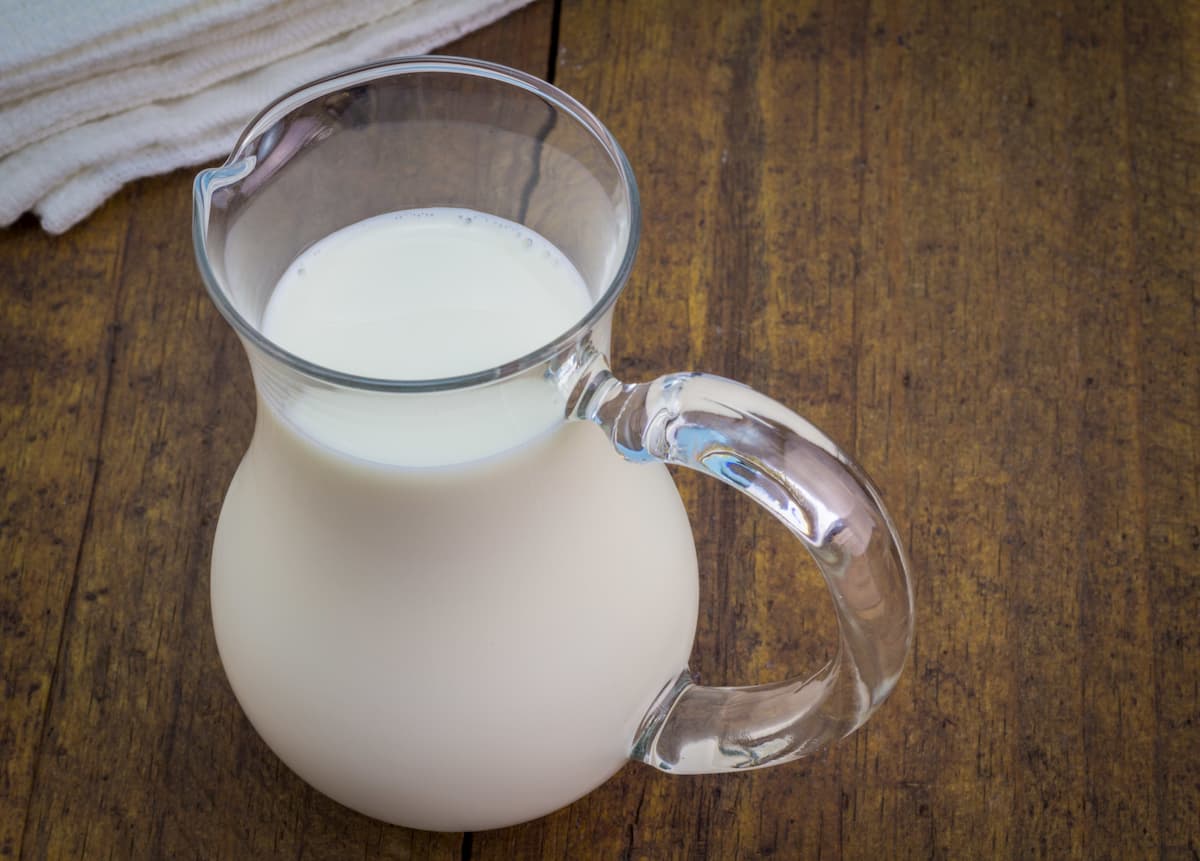 Can You Drink Milk on the Carnivore Diet? - Carnivore RX